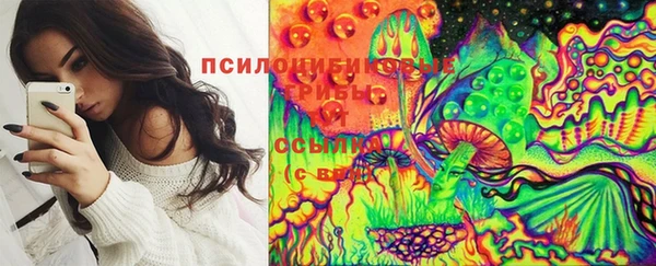 ПСИЛОЦИБИНОВЫЕ ГРИБЫ Армянск